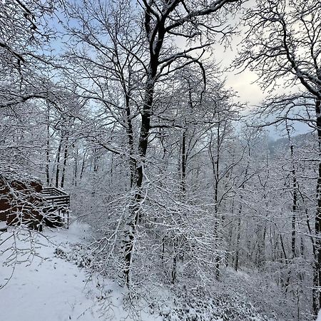 Charmant chalet dans un domaine boisé Blaimont Esterno foto